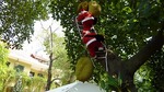 P1000251.jpg